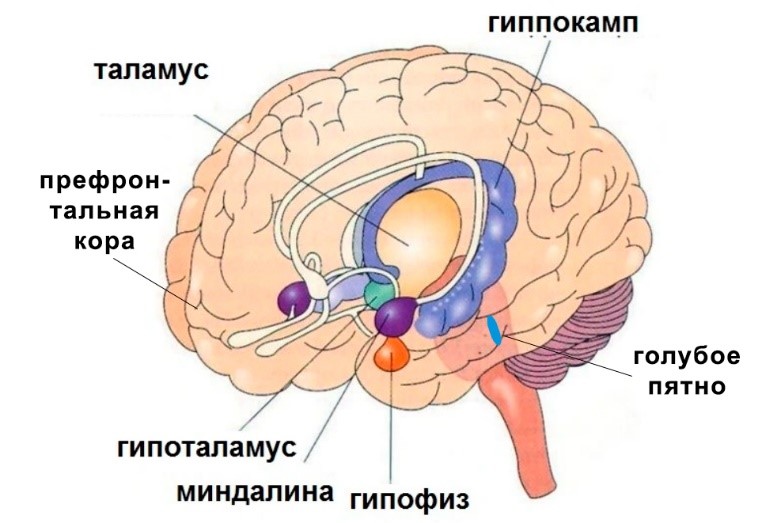 odnako